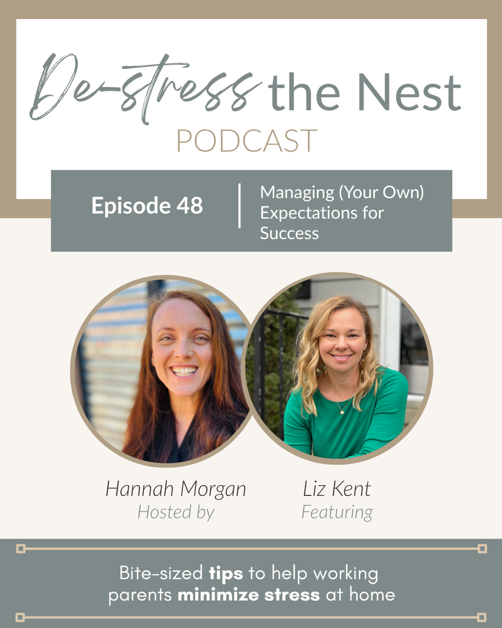 De-Stress the Nest Episode 48 cover art