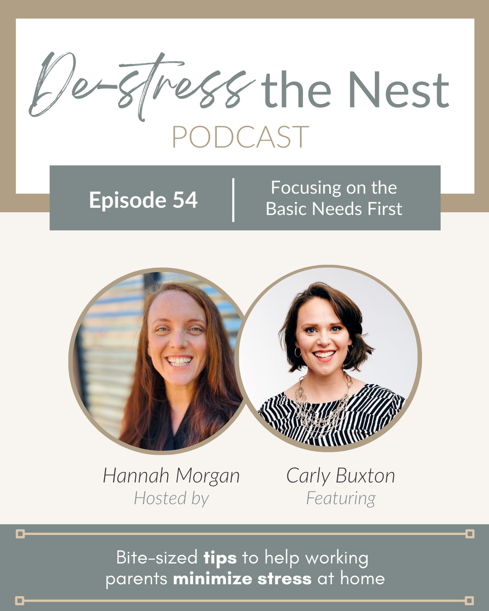 De-Stress the Nest Episode 54 cover art