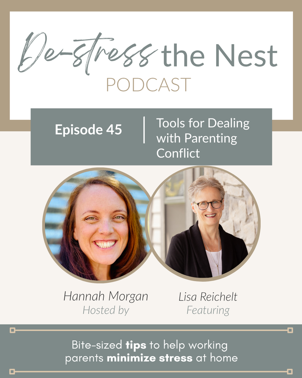 De-Stress the Nest Episode 45 cover art