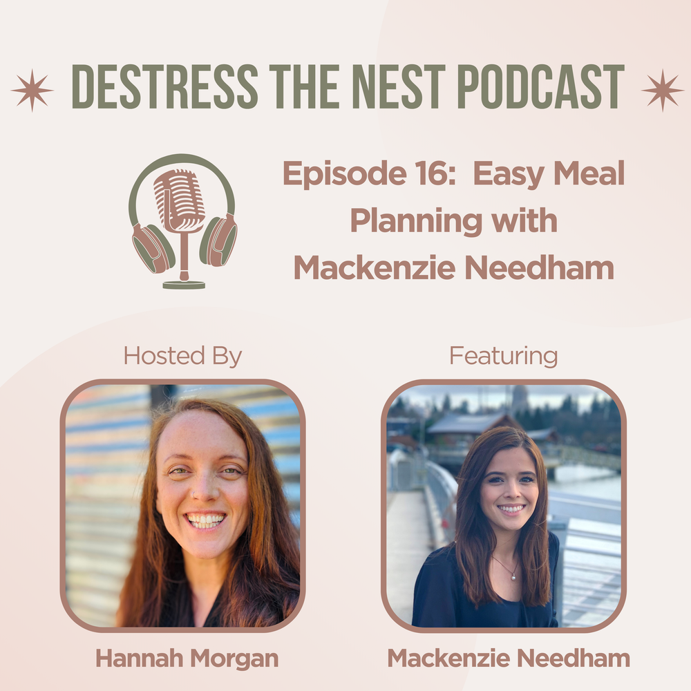 De-Stress the Nest Episode 16 cover art
