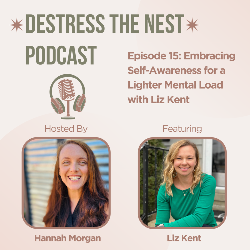 De-Stress the Nest Episode 15 cover art