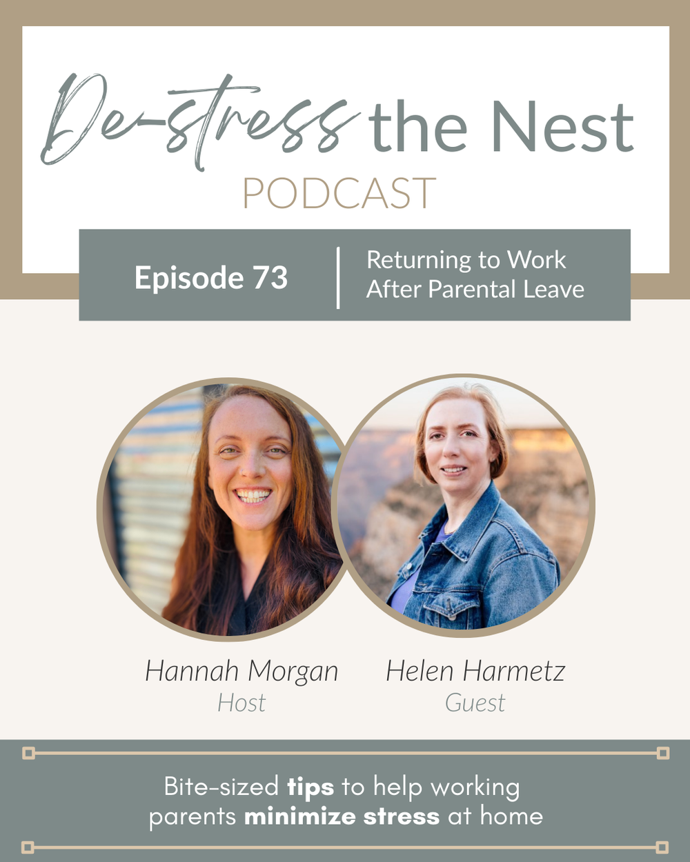 De-Stress the Nest Episode 73 cover art