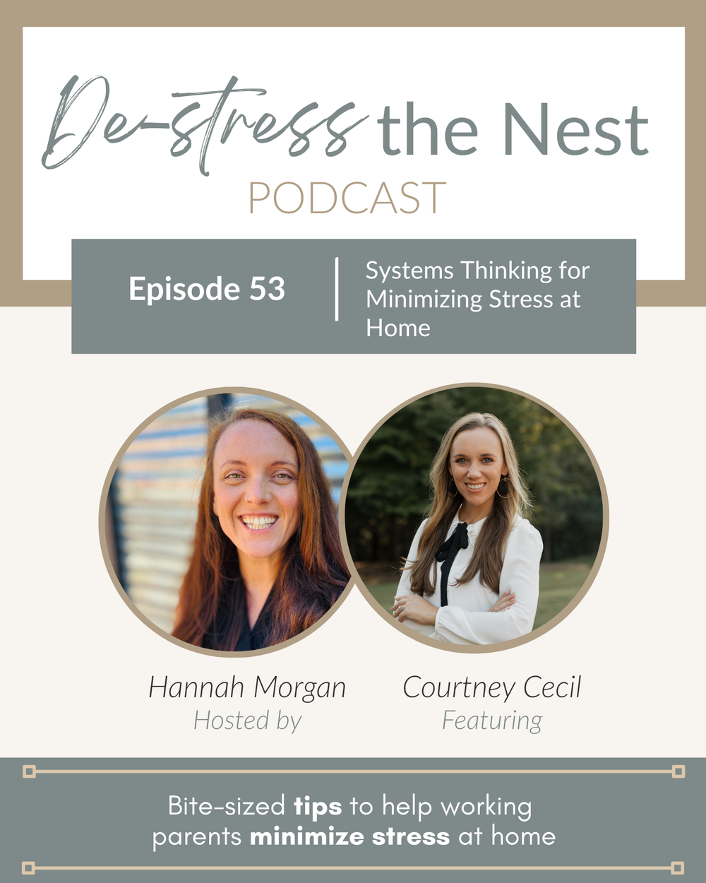 De-Stress the Nest Episode 53 cover art
