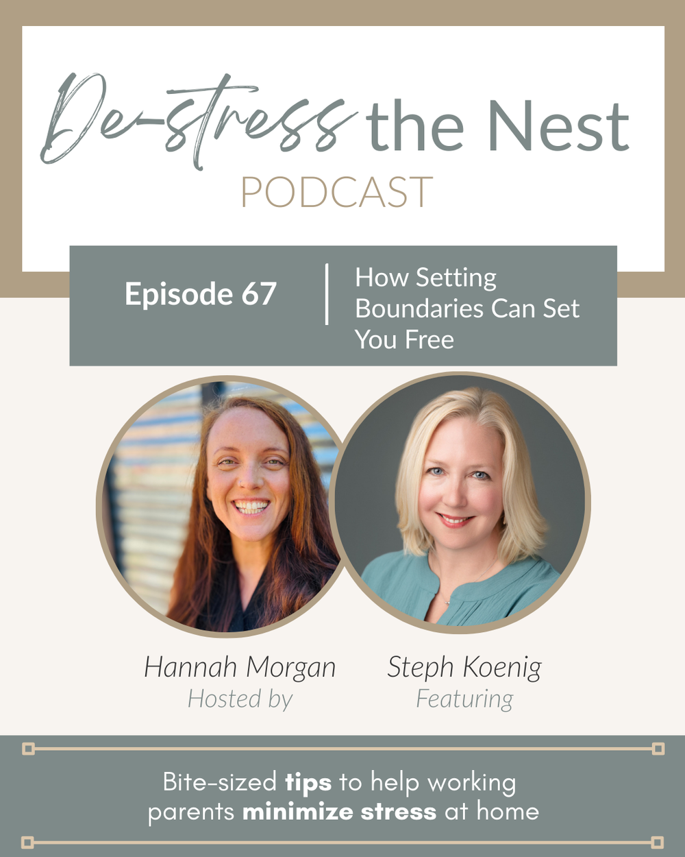 De-Stress the Nest Episode 67 cover art