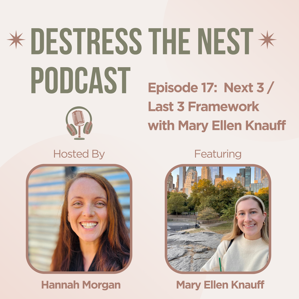 De-Stress the Nest Episode 17 cover art