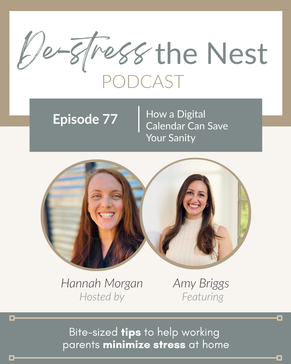 De-Stress the Nest Episode 77 cover art